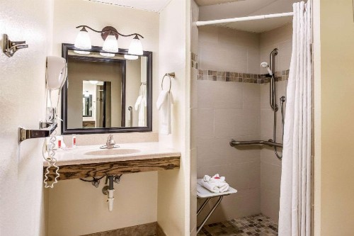 Econo Lodge Rochester - image 10