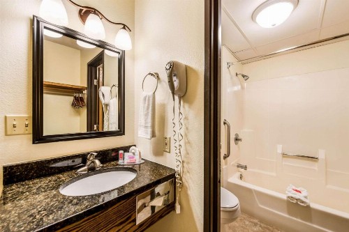 Econo Lodge Rochester - image 16