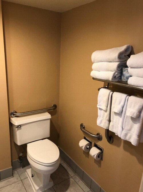 Kahler Inn and Suites - image 33