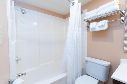 Kahler Inn and Suites - image 34