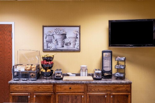 Kahler Inn and Suites - image 45