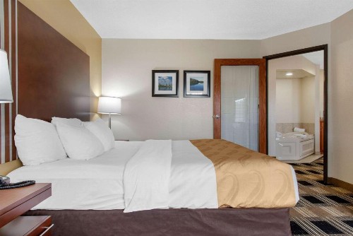 Quality Inn Rochester - image 24