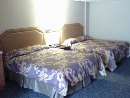 5th Avenue Inn & Suites - image 6