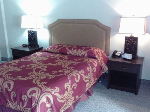 5th Avenue Inn & Suites - image 8