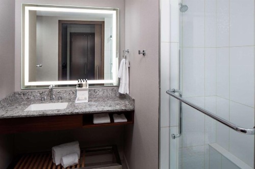 Hilton Rochester Mayo Clinic Area - image 16