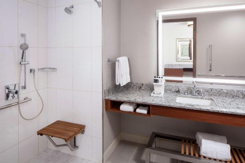 Hilton Rochester Mayo Clinic Area - image 40