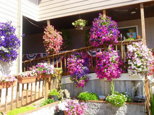 Tradewinds Motel - image 30