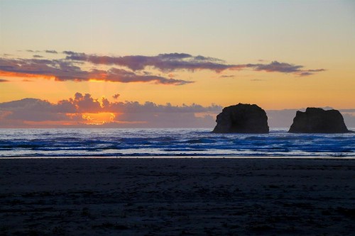 Ocean Rogue Inn - image 6