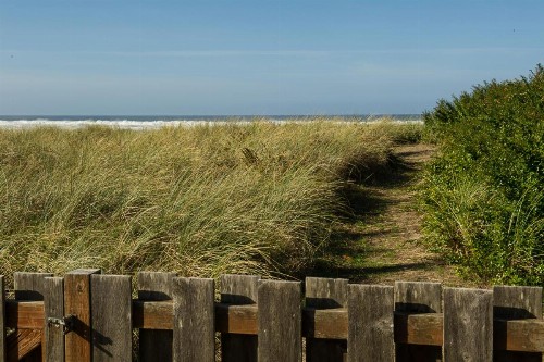 The Hamptons - image 1