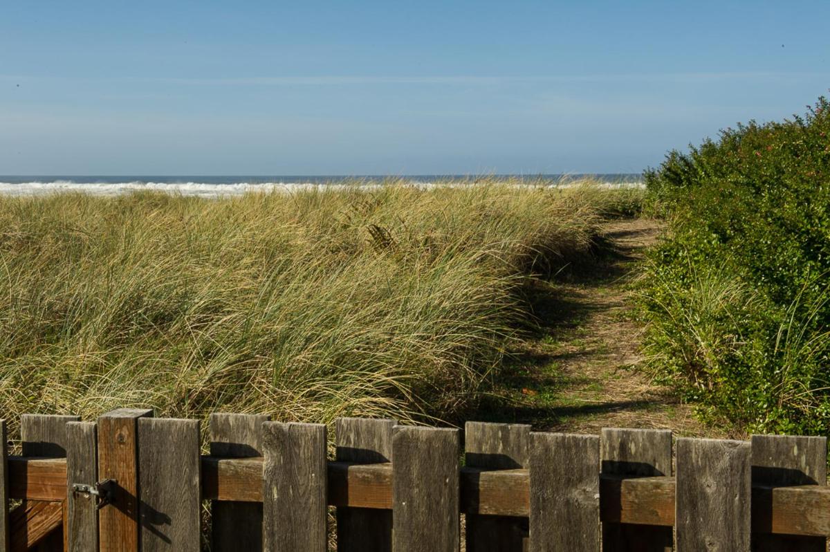 The Hamptons - main image