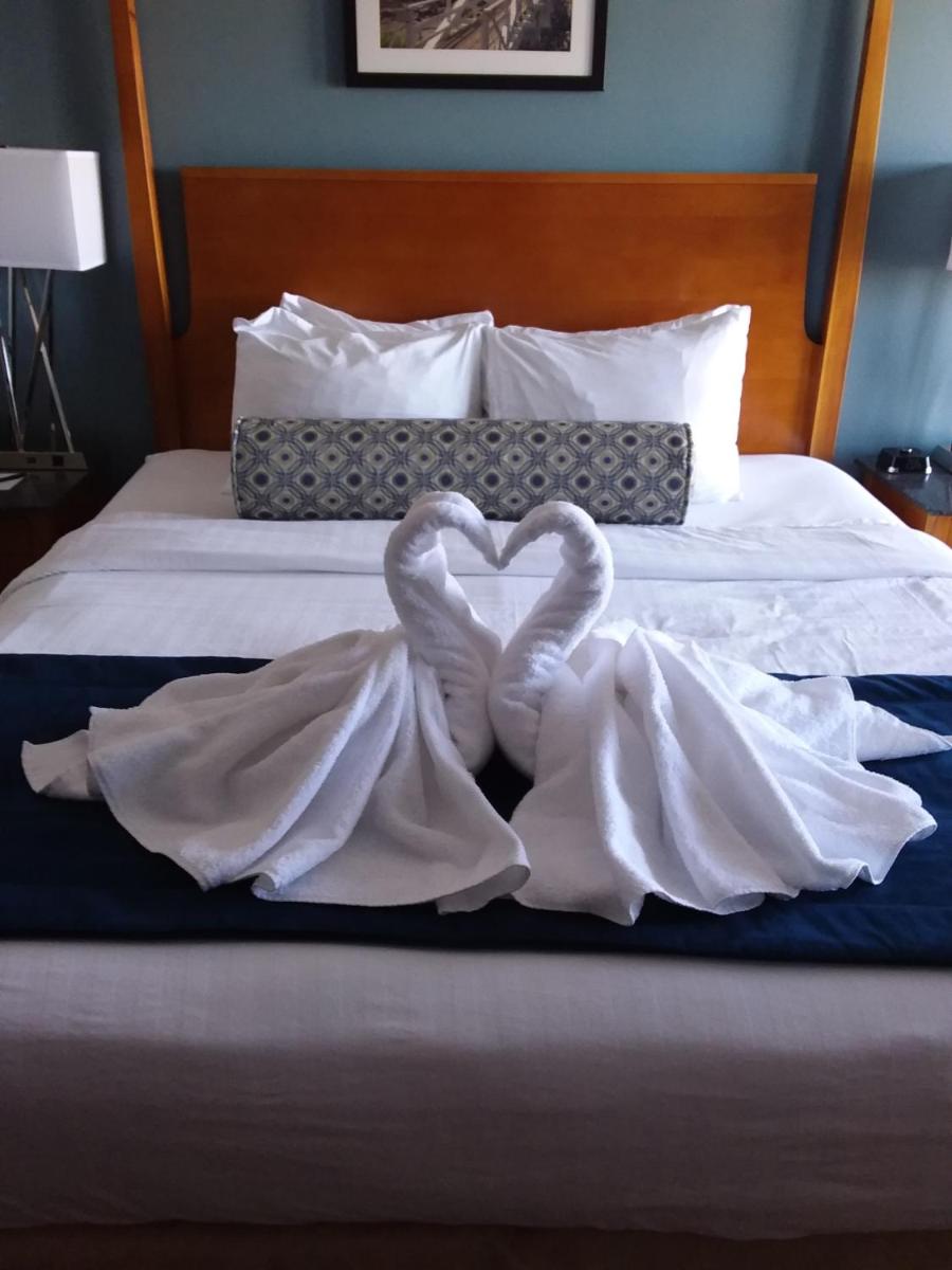 Rockland Harbor Hotel - image 3