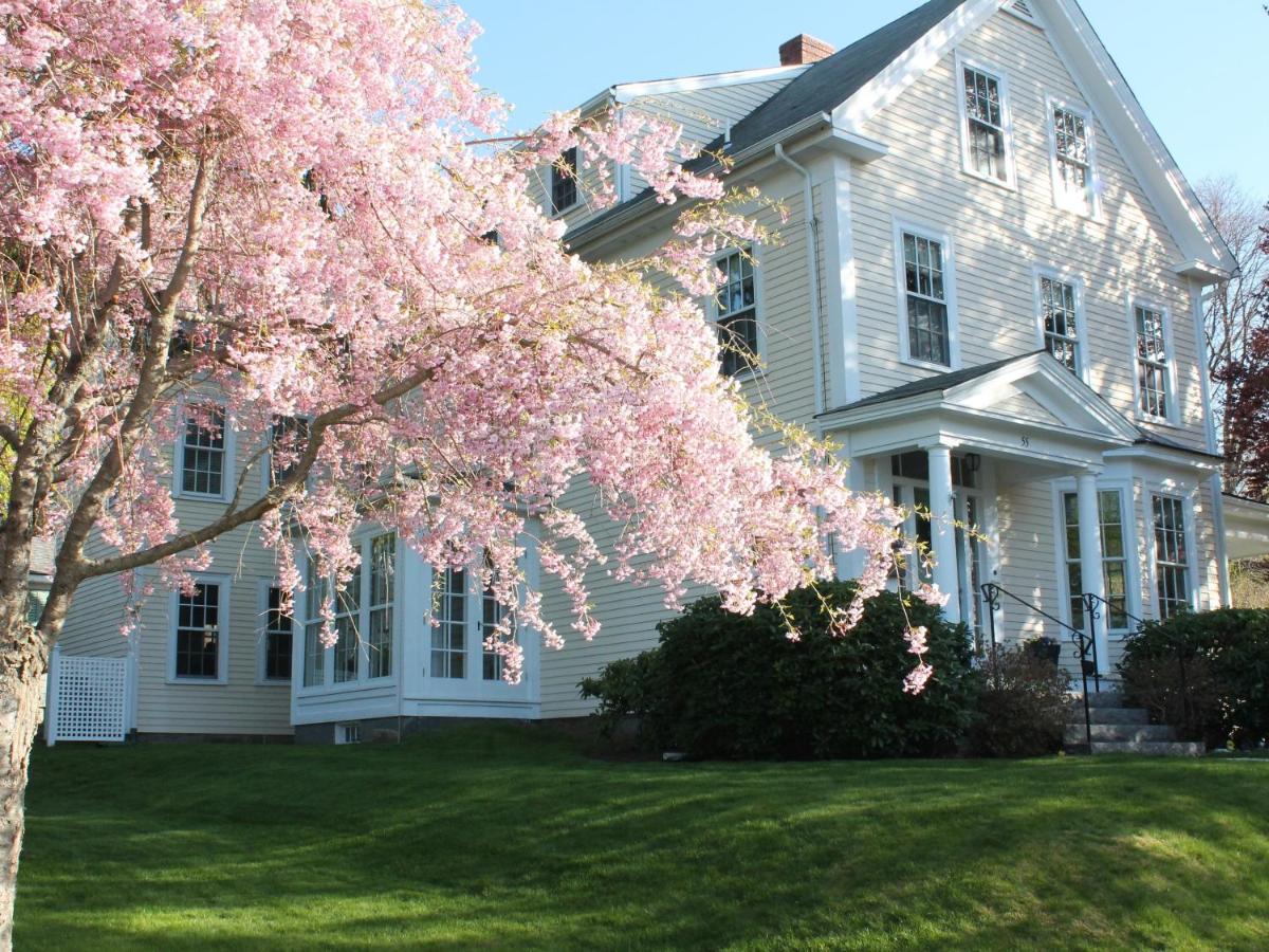 The Beech Tree B&B - main image