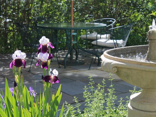 The Beech Tree B&B - image 4