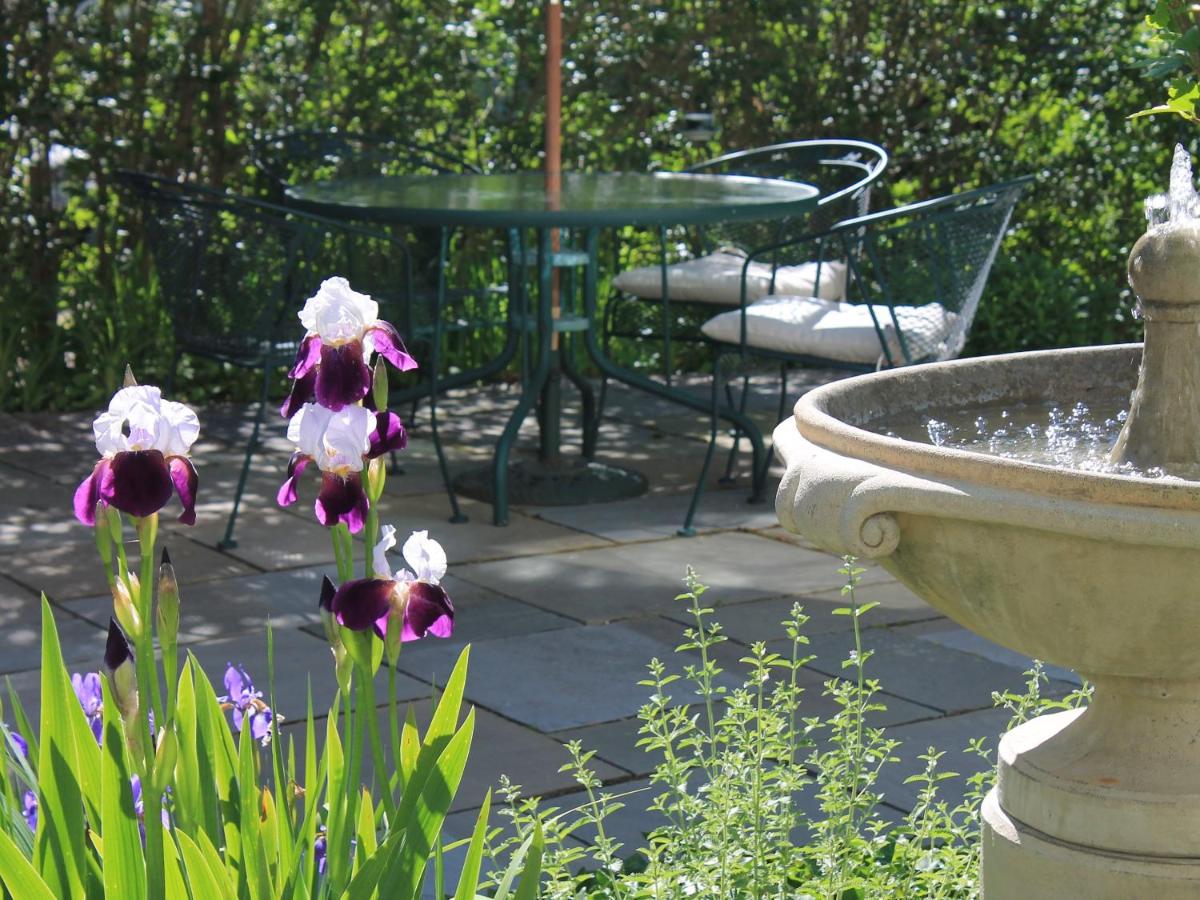 The Beech Tree B&B - image 4