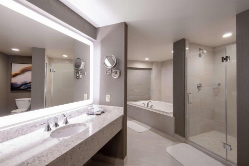 Embassy Suites Northwest Arkansas - Hotel Spa & Convention Center - image 27