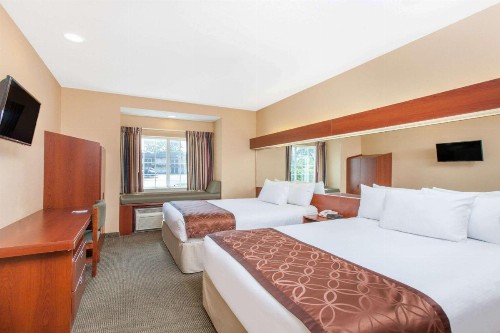 Microtel Inn by Wyndham Rogers - image 5