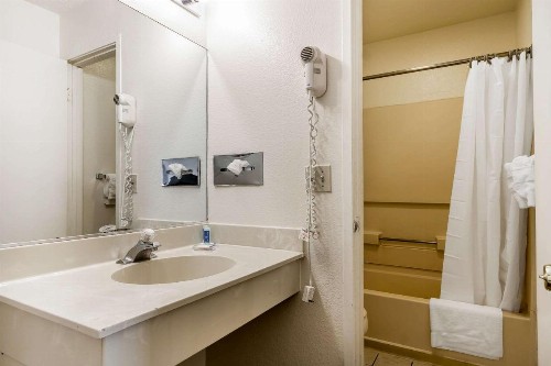 Rodeway Inn - Rohnert Park - image 13