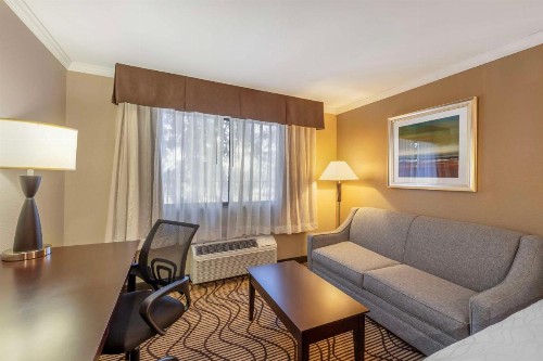 Best Western Plus Orchid Hotel & Suites - image 12