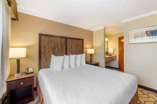 Best Western Plus Orchid Hotel & Suites - image 14