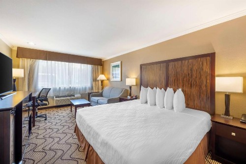 Best Western Plus Orchid Hotel & Suites - image 15