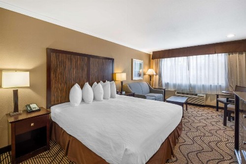 Best Western Plus Orchid Hotel & Suites - image 16