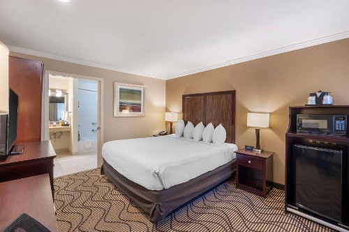 Best Western Plus Orchid Hotel & Suites - image 18