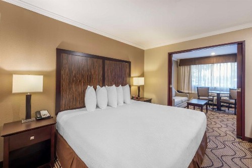 Best Western Plus Orchid Hotel & Suites - image 2