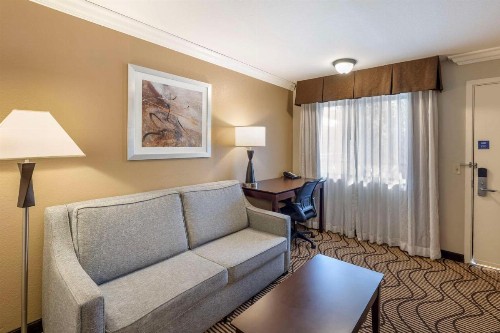 Best Western Plus Orchid Hotel & Suites - image 24