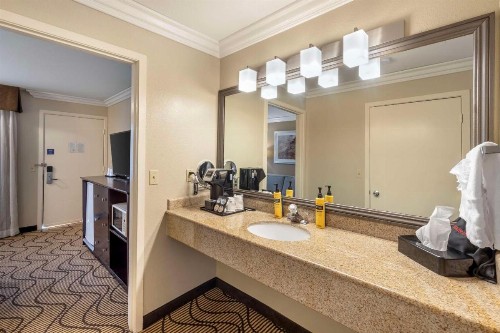 Best Western Plus Orchid Hotel & Suites - image 28