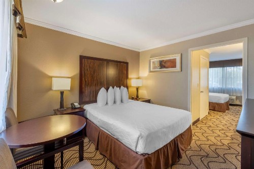 Best Western Plus Orchid Hotel & Suites - image 30
