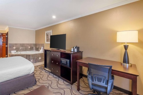 Best Western Plus Orchid Hotel & Suites - image 37