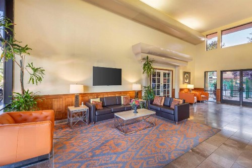 Best Western Plus Orchid Hotel & Suites - image 38
