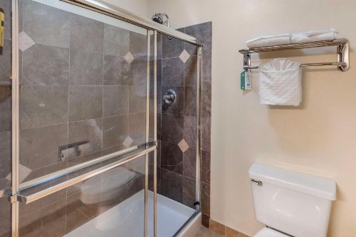 Best Western Plus Orchid Hotel & Suites - image 4