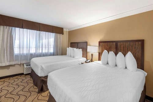 Best Western Plus Orchid Hotel & Suites - image 40