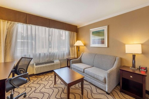 Best Western Plus Orchid Hotel & Suites - image 42