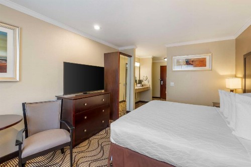 Best Western Plus Orchid Hotel & Suites - image 47