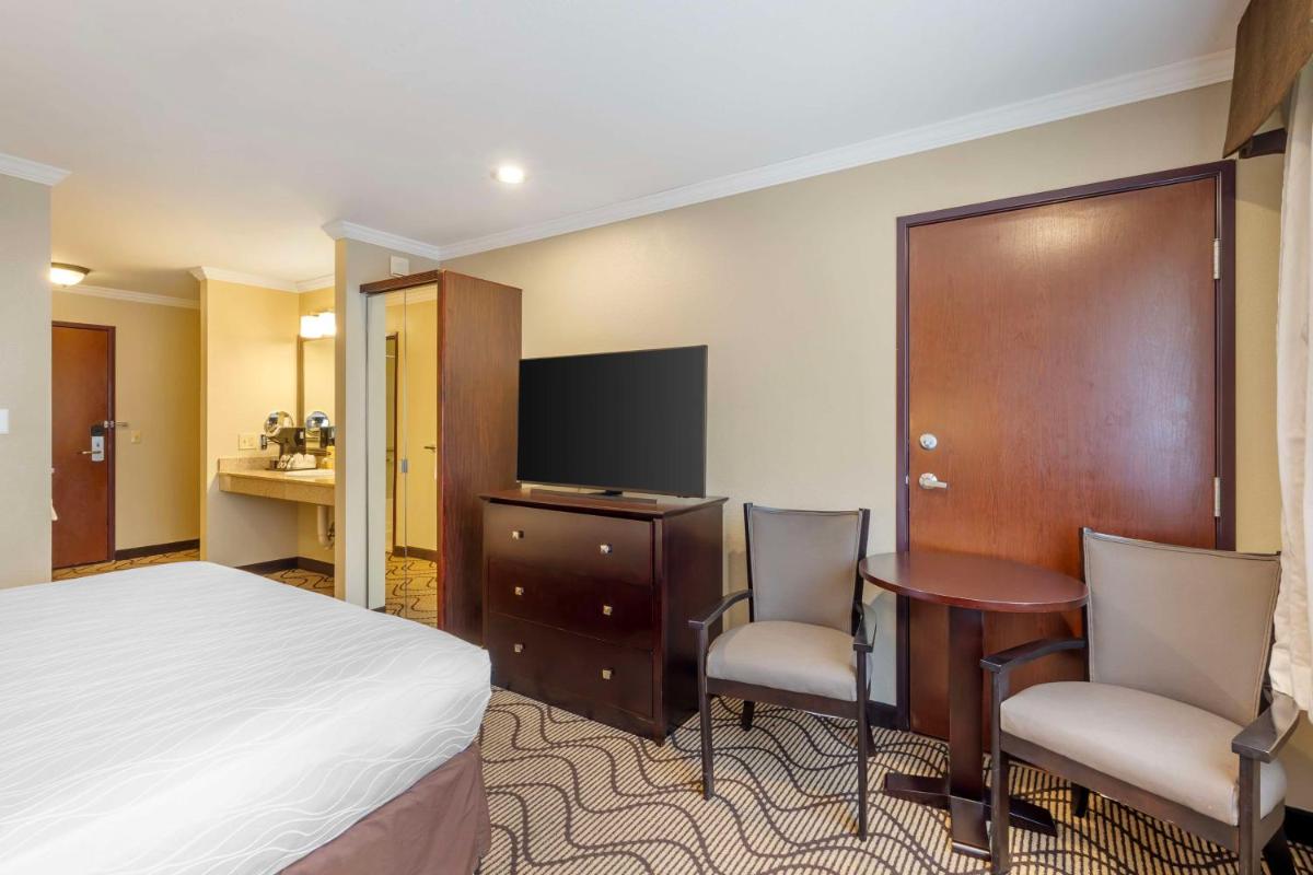 Best Western Plus Orchid Hotel & Suites - image 5