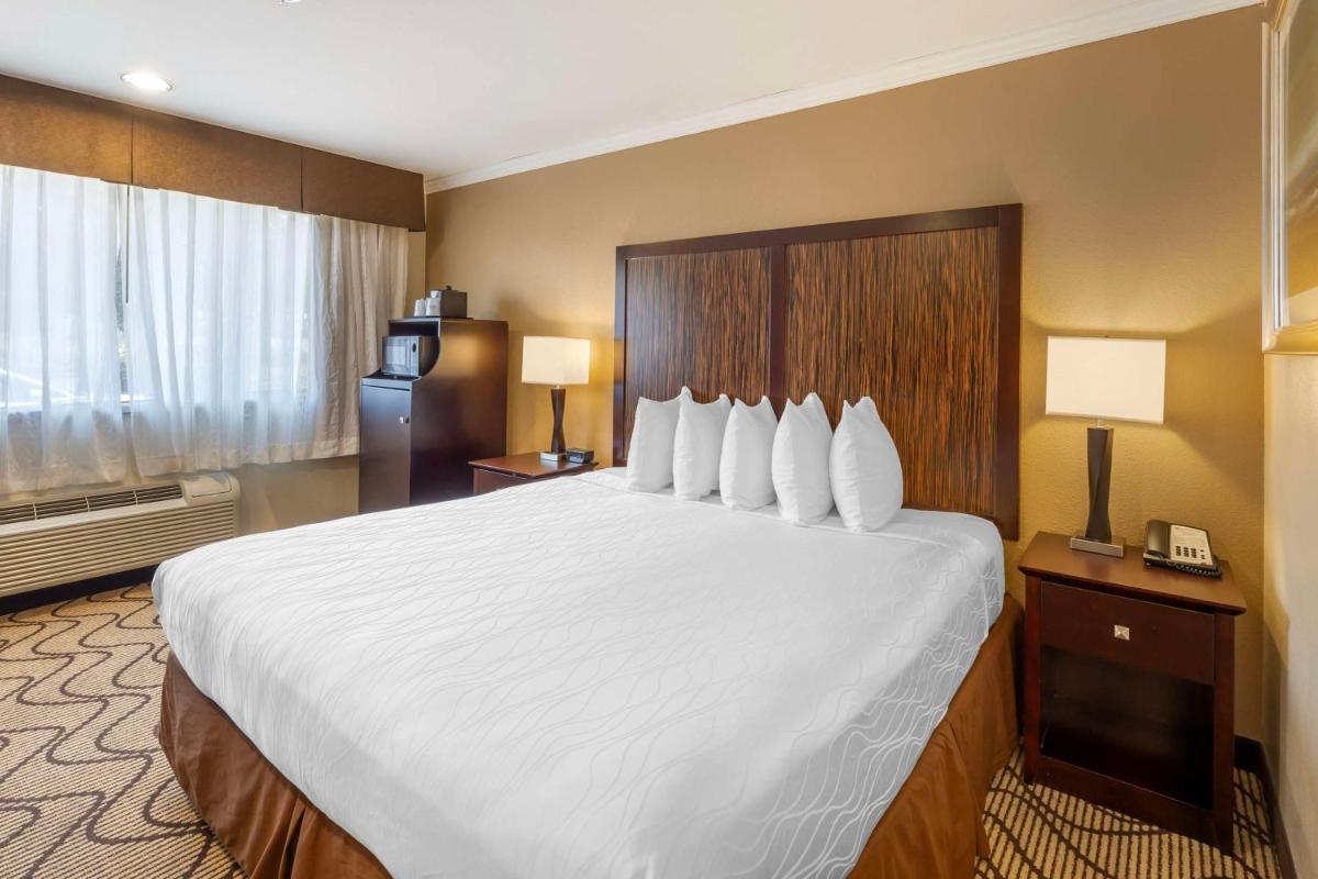 Best Western Plus Orchid Hotel & Suites - image 6