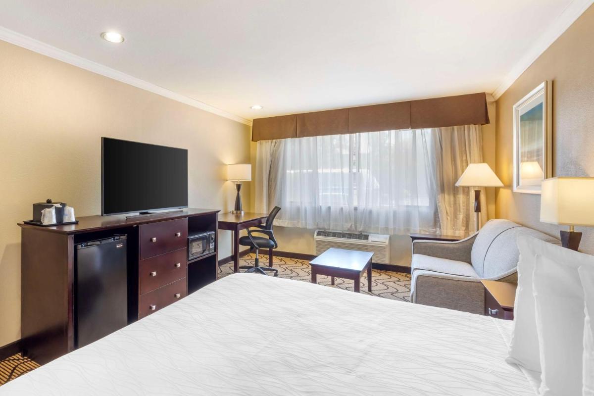 Best Western Plus Orchid Hotel & Suites - image 7