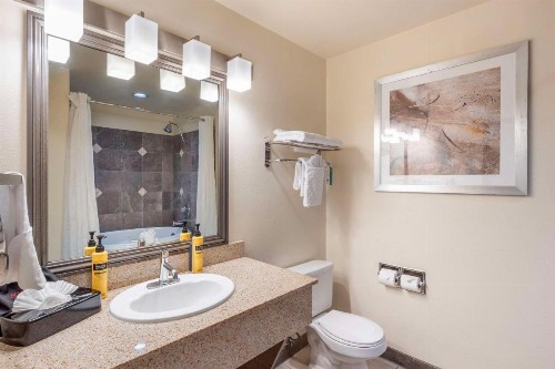 Best Western Plus Orchid Hotel & Suites - image 8