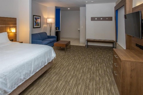 Holiday Inn Express Hotel & Suites Roseville - Galleria Area an IHG Hotel - image 7