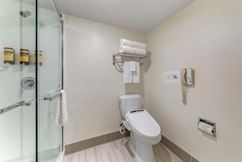 Best Western Plus Executive Inn - image 3