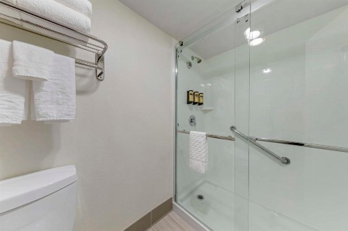 Best Western Plus Executive Inn - image 4