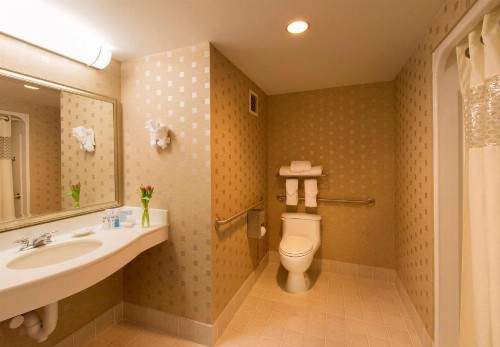 Hampton Inn & Suites Boston Crosstown Center - image 28