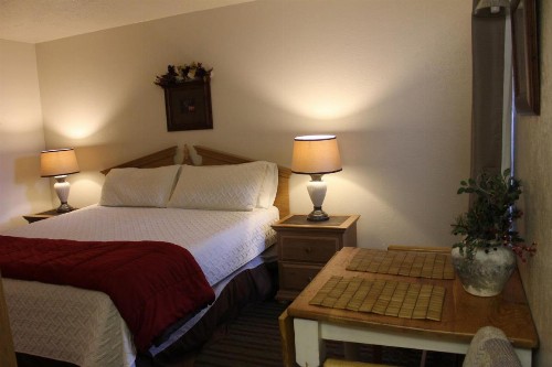Village Lodge - image 11