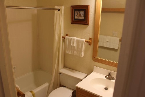 Village Lodge - image 13