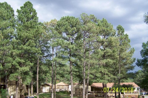 Village Lodge - image 23