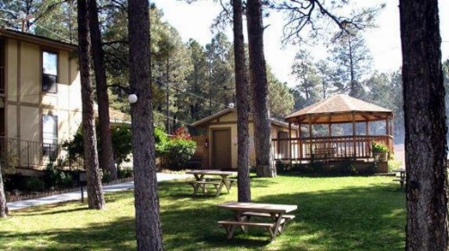 Village Lodge - image 25