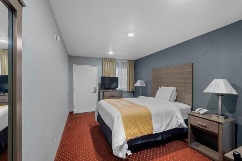 Budget Lodge - image 29