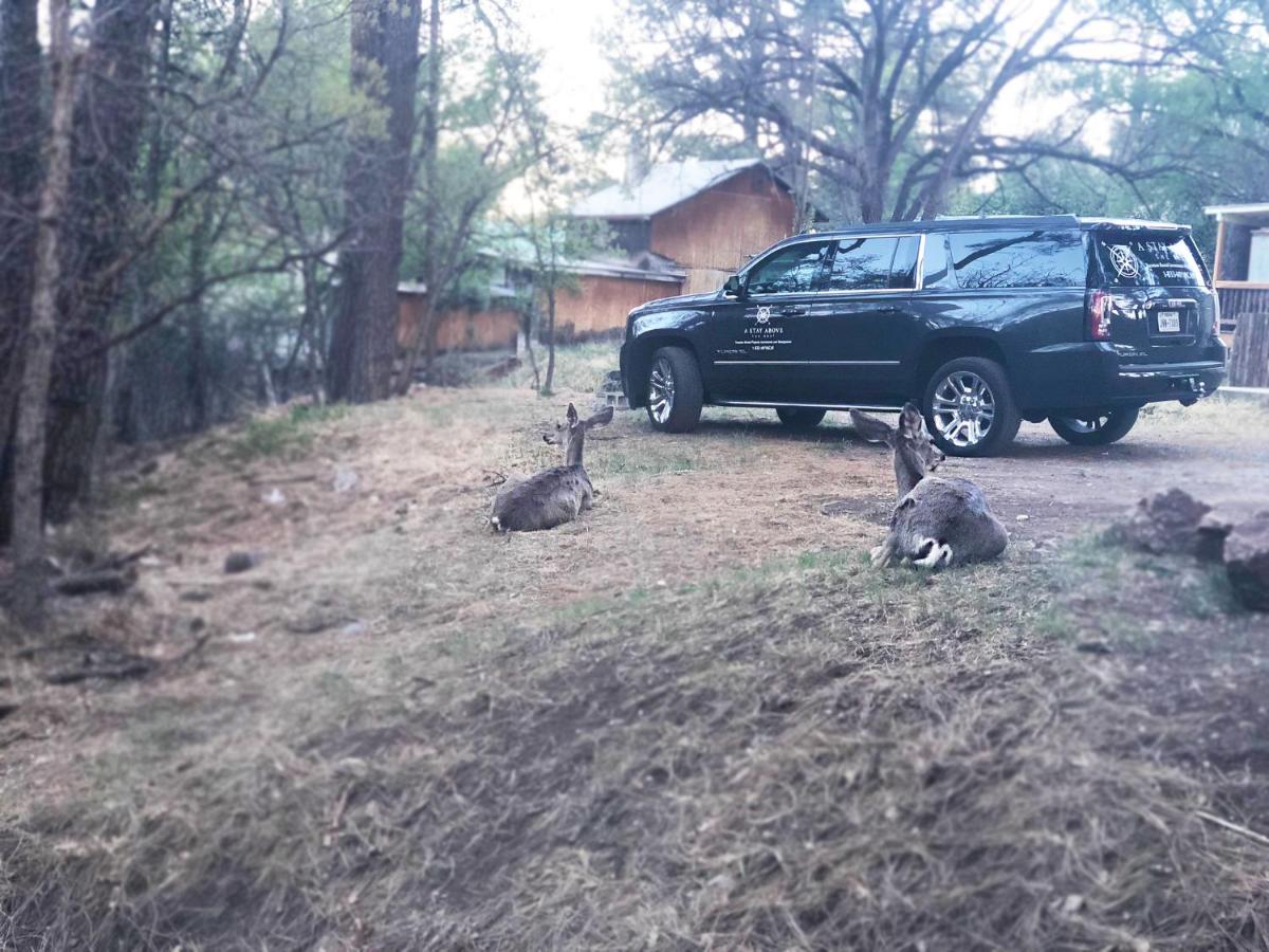 Ruidoso's Midtown Retreat! - image 6